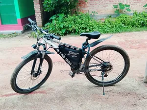 Electric Bicycle