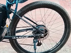 Electric Bicycle