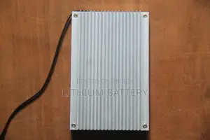 100 Ah 12 Volt BMS - HBJ - High Quality