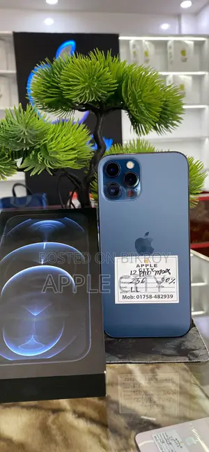 Apple iPhone 12 Pro Max 256 GB Blue