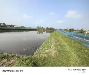 Urgent land for sale