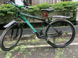 বাইসাইকেল দুরন্ত