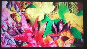 Haier 50 Inch Android Google TV Dolby Sound