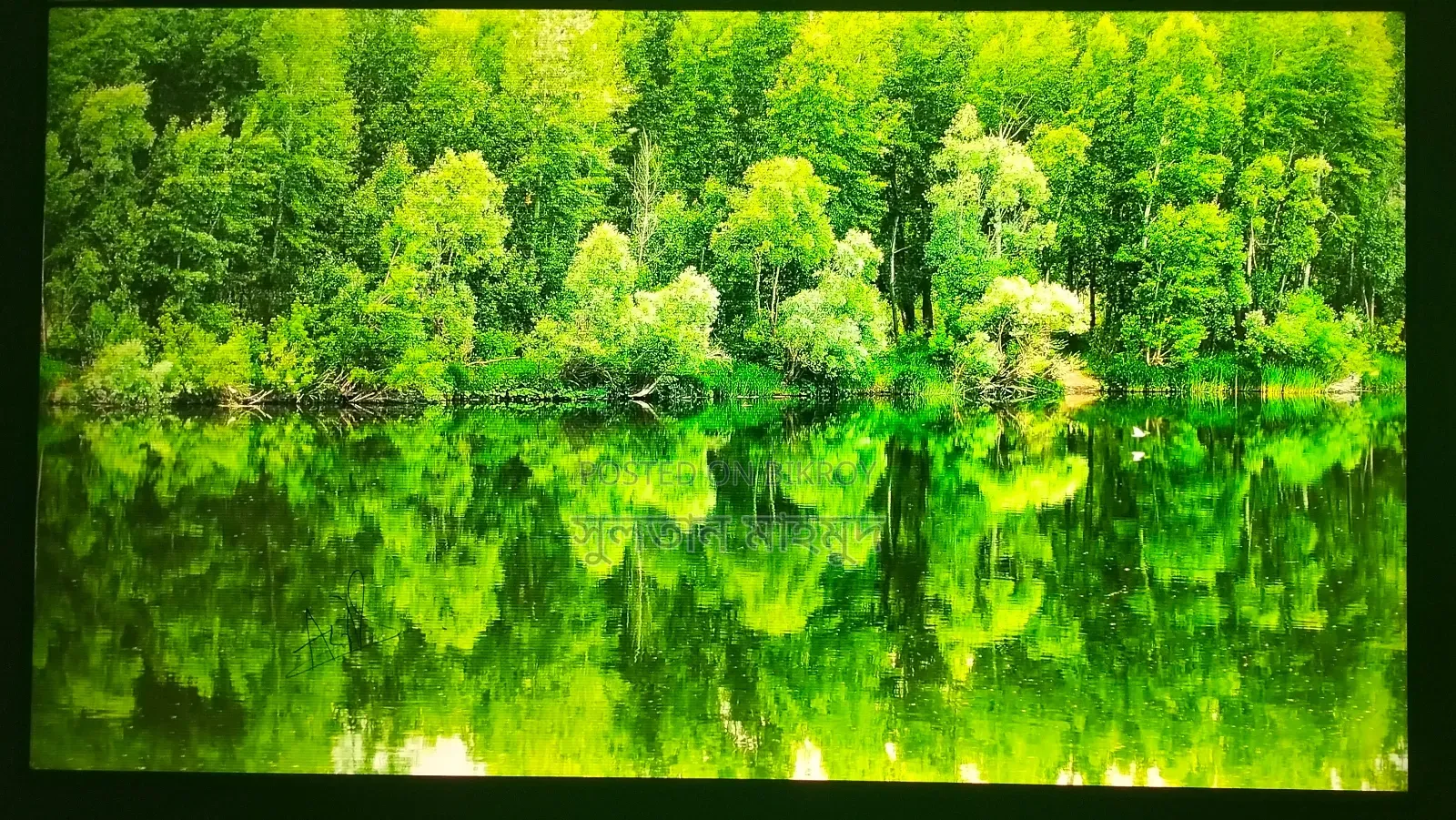 Haier 50 Inch Android Google TV Dolby Sound