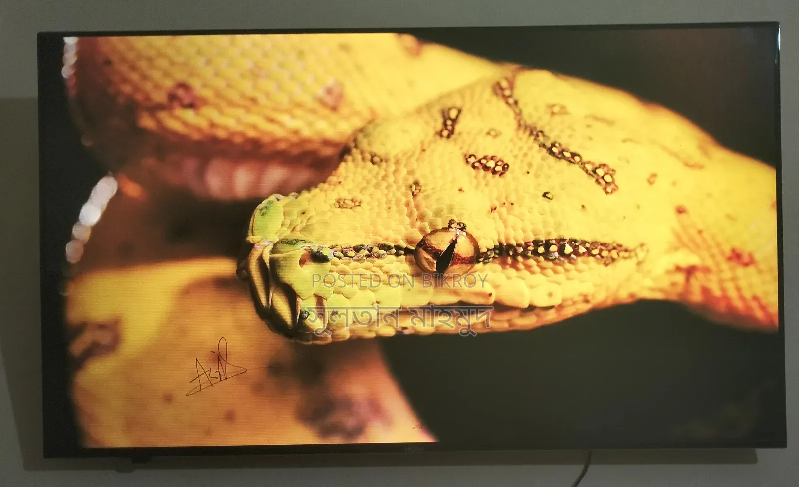 Haier 50 Inch Android Google TV Dolby Sound