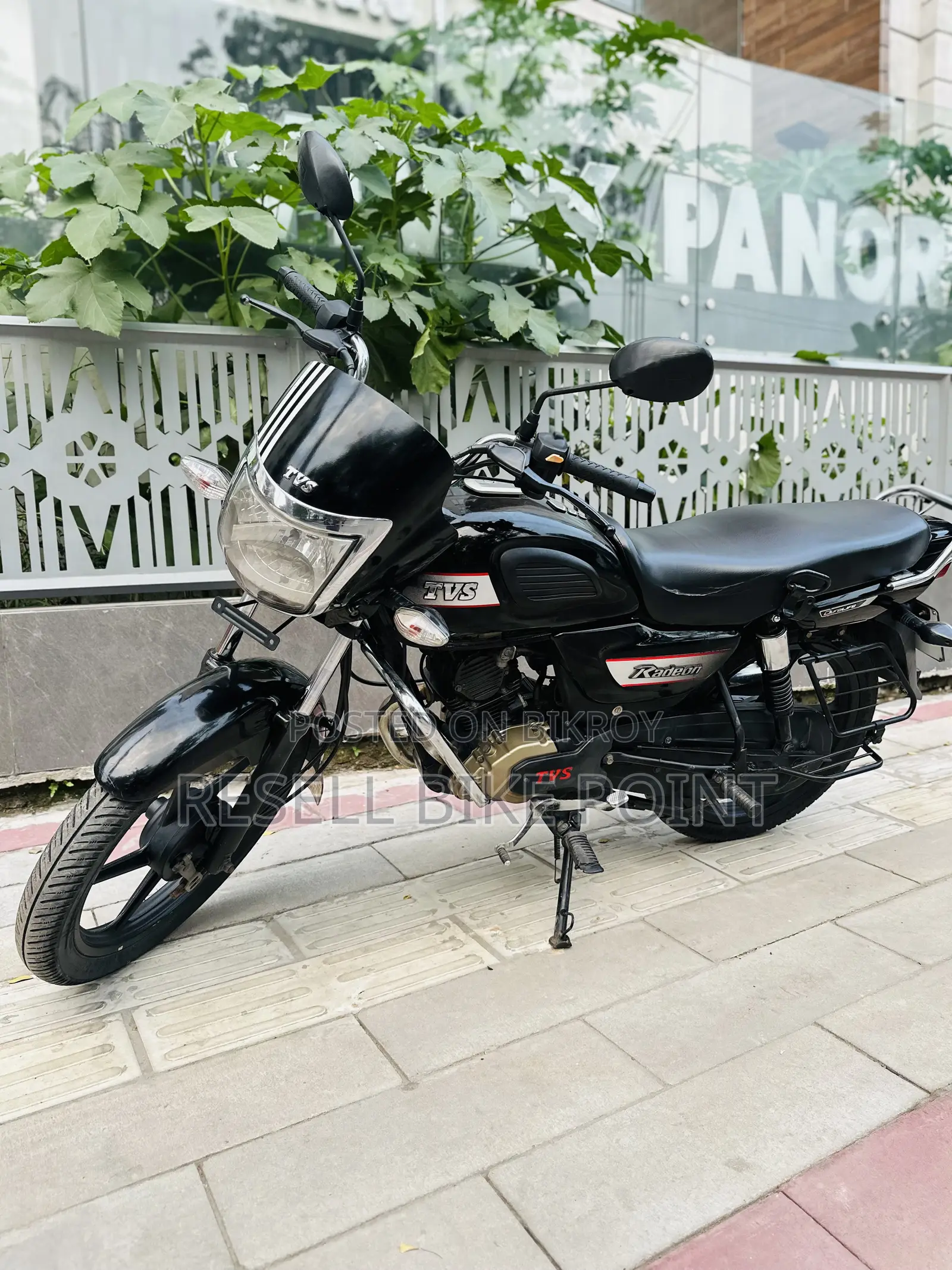 TVS Radeon 2022 Red