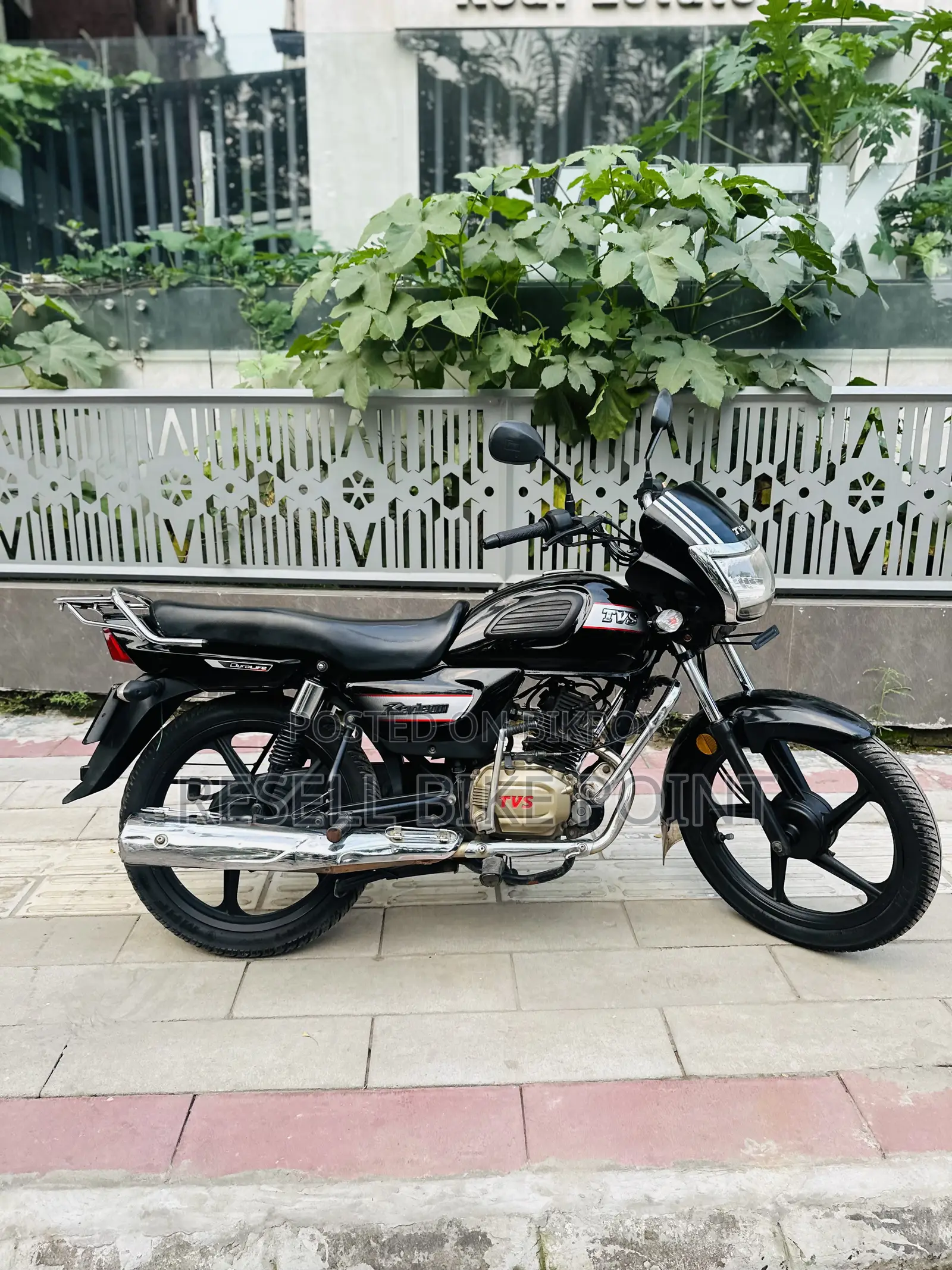 TVS Radeon 2022 Red