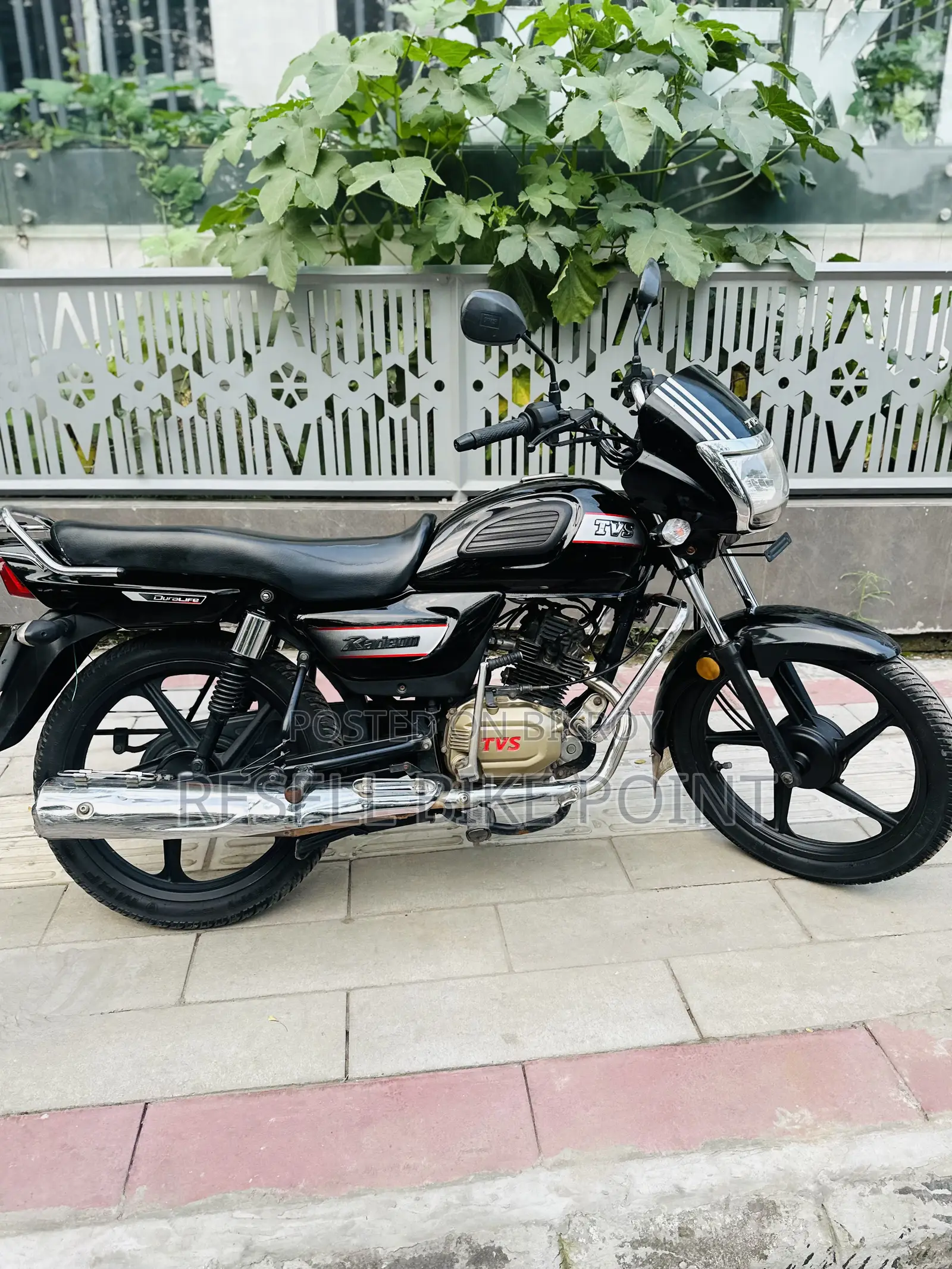 TVS Radeon 2022 Red