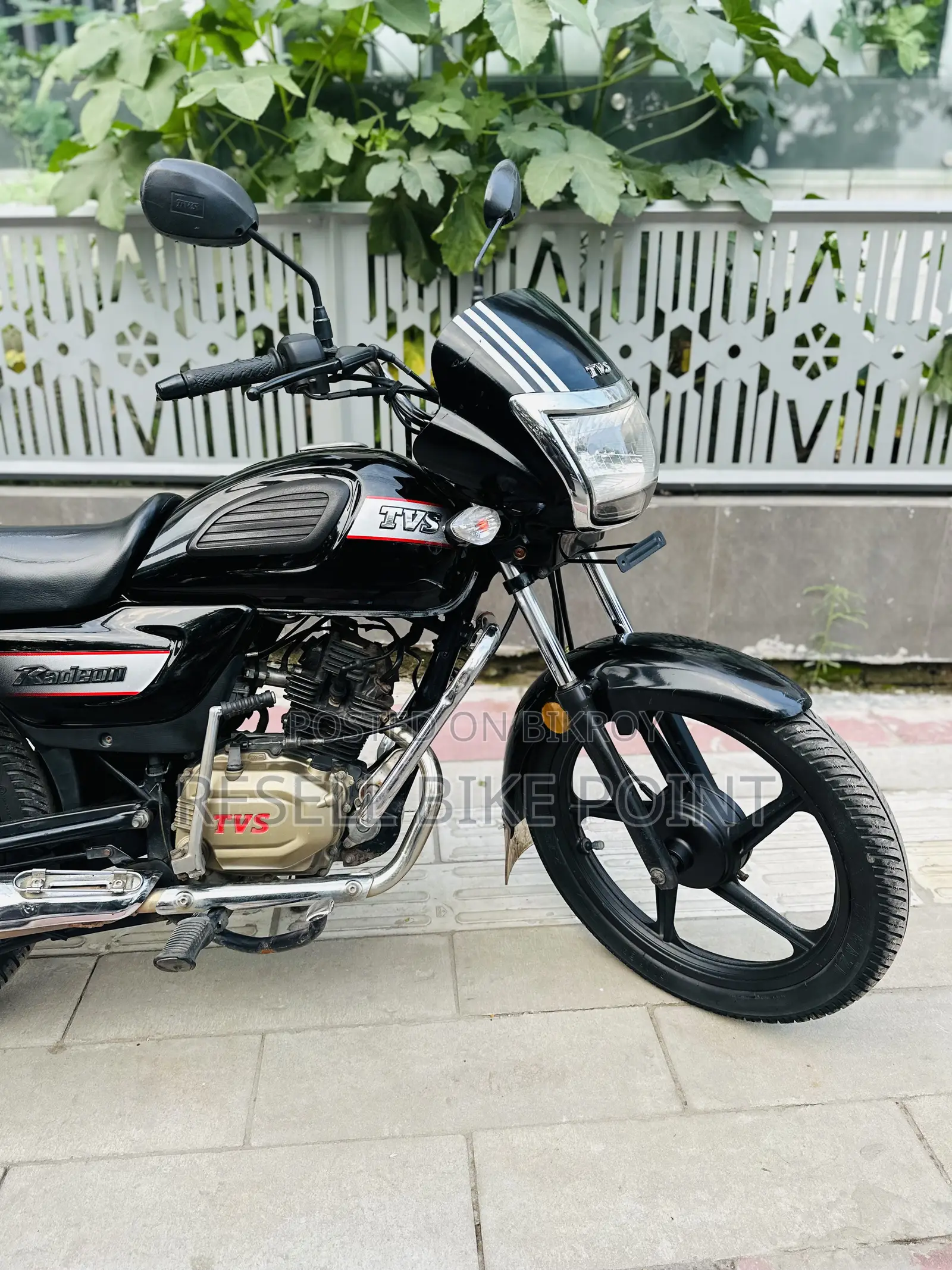TVS Radeon 2022 Red