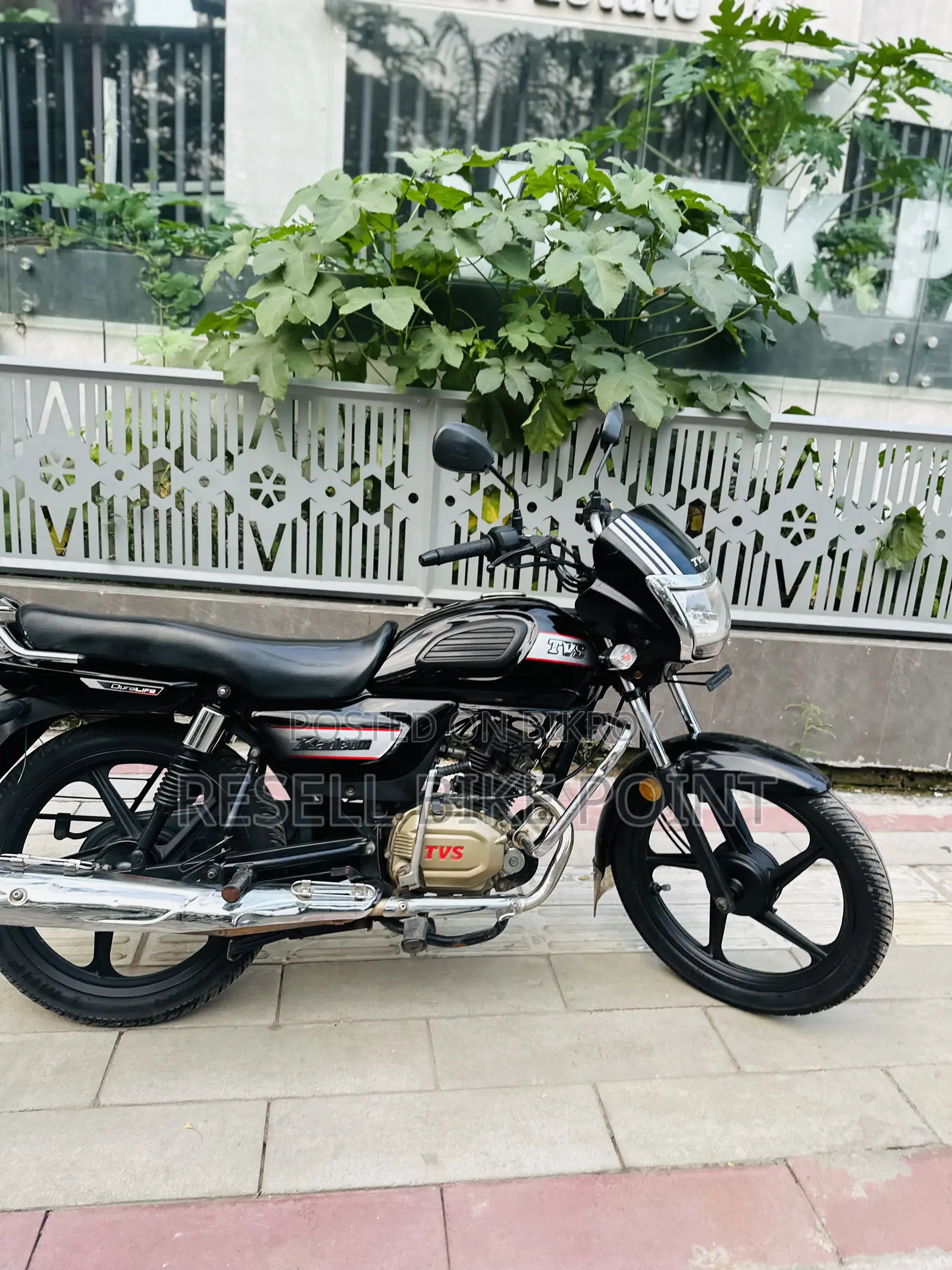 TVS Radeon 2022 Red