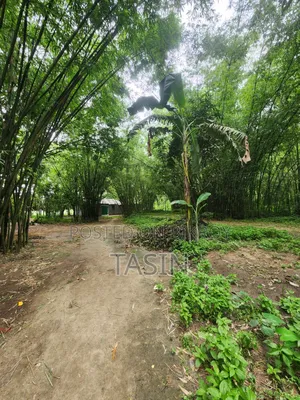 4 decimal ready plot for sale – perfect for living