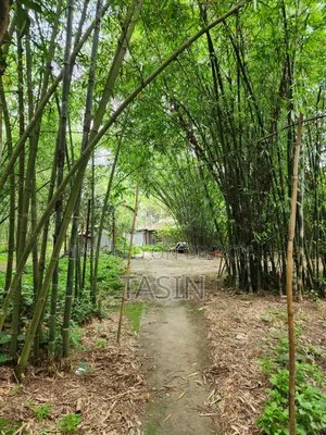4 decimal ready plot for sale – perfect for living