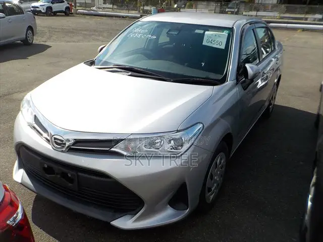 Toyota Axio 2020 Silver