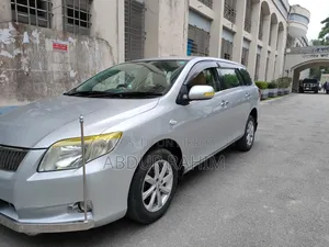 Toyota Corolla Fielder 2010 Silver