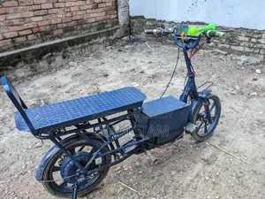 Electric Cycle