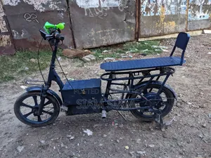 Electric Cycle
