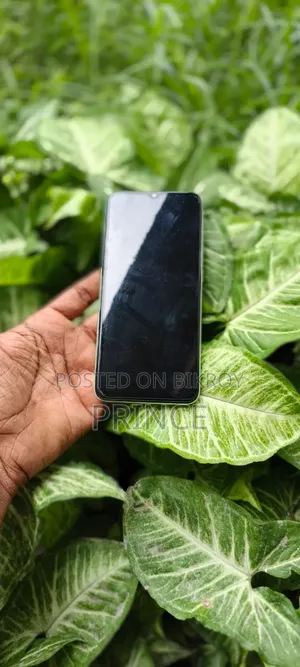 সিম্ফনি জেড৪২ ৩২ জিবি গ্রে