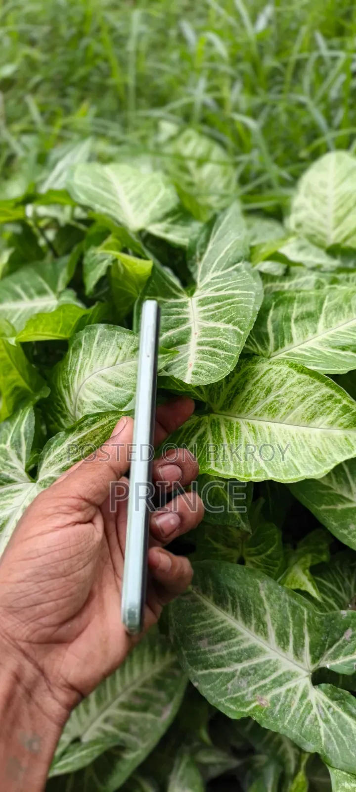 সিম্ফনি জেড৪২ ৩২ জিবি গ্রে