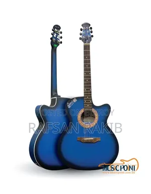 Signature Acoustic Guitar-Loud Series