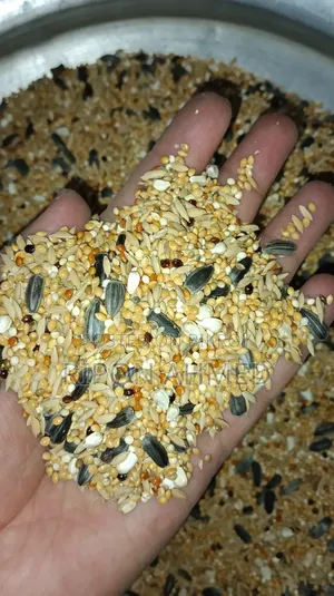 Budgie Bird Seed Mix Food 1 kg