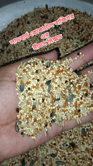 Cockatiel Seed Mix Regular - 1 KG