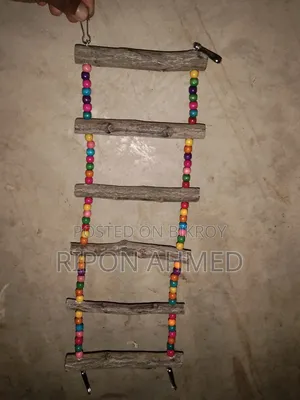 Hanging ladder for birds (made of tree branches) - 1 piece
