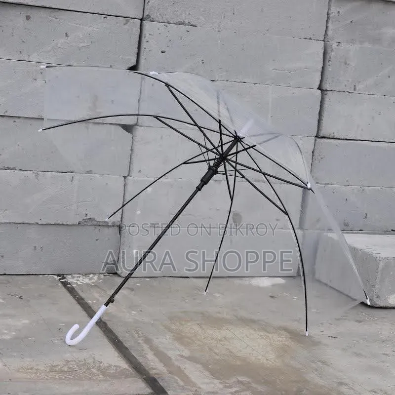 Transparent Umbrella