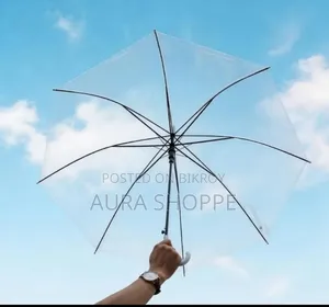 Transparent Umbrella