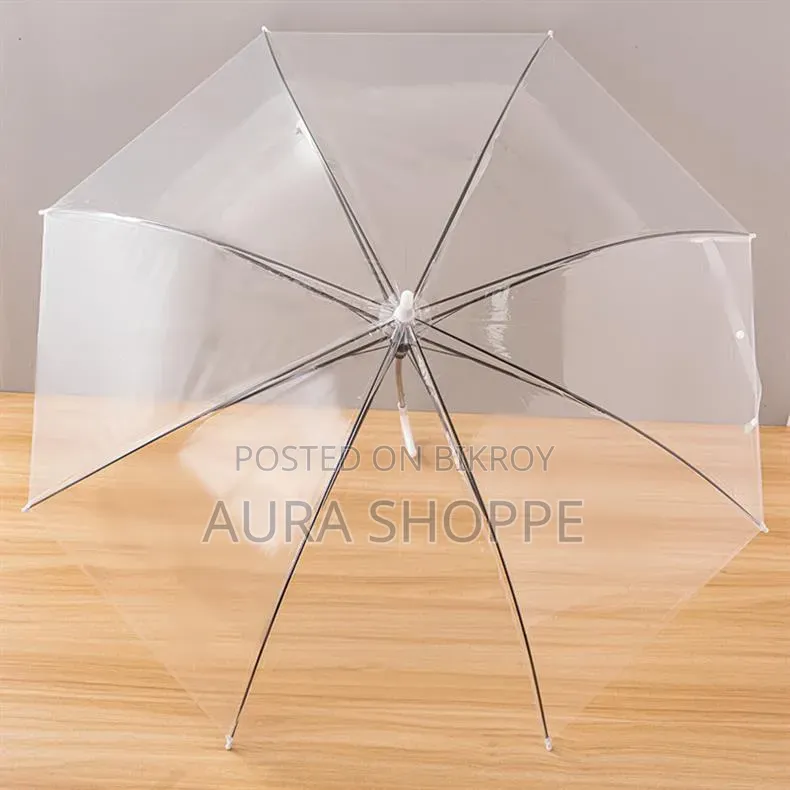 Transparent Umbrella