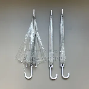 Transparent Umbrella