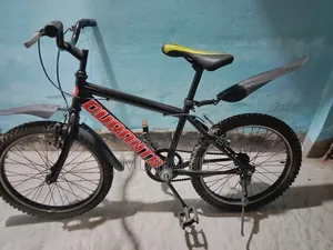 Duranta Bicycle (Size 20)