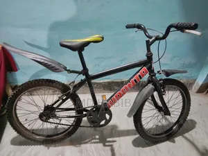 Duranta Bicycle (Size 20)