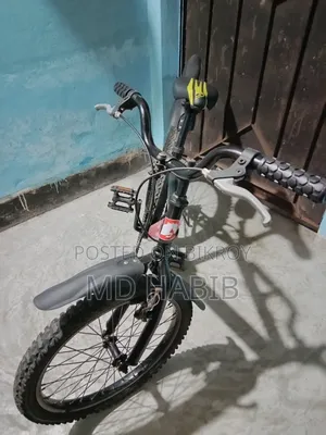 Duranta Bicycle (Size 20)