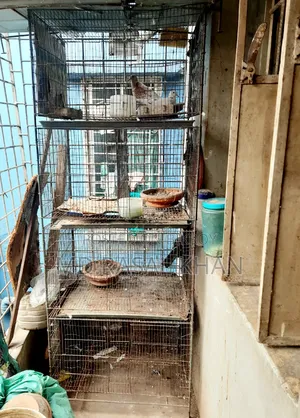 Bird Cage