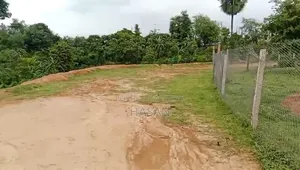 Industrial Land