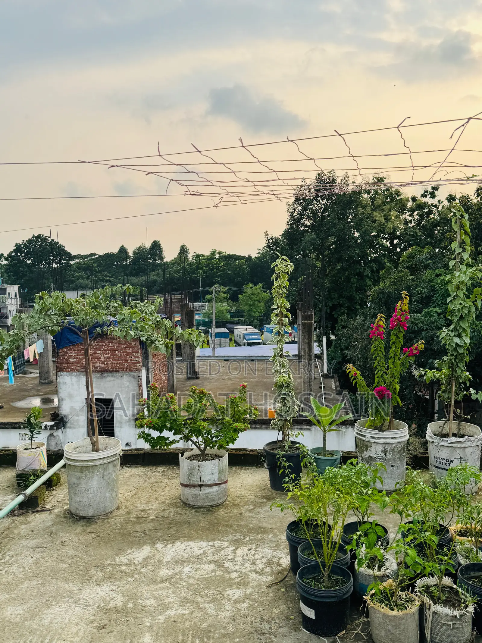 সাভারে বিক্রয়ের জন্য ফার্নিশড ১৮ বেডরুমের বাড়ি