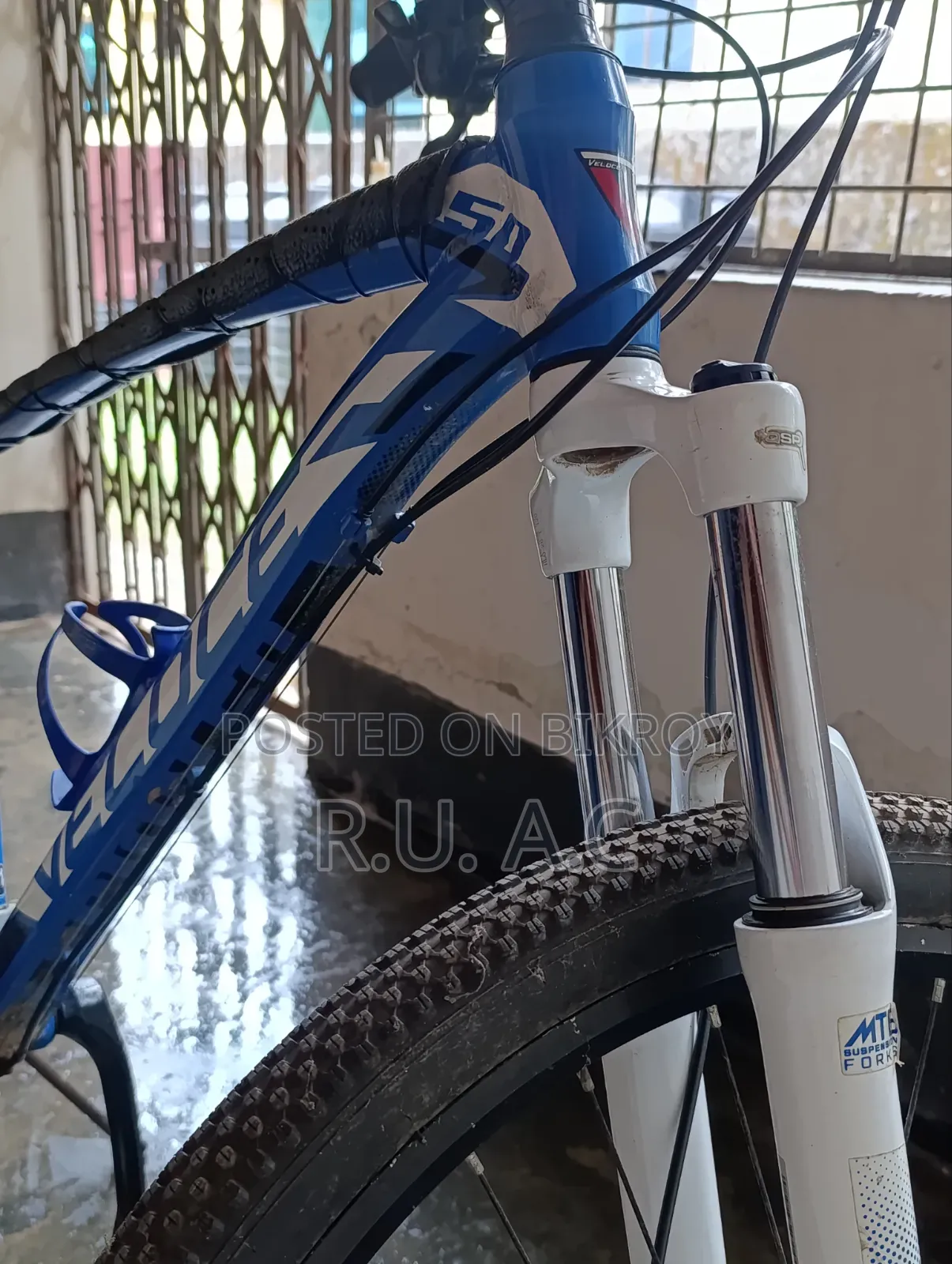 Veloce Legion 50 (2018)