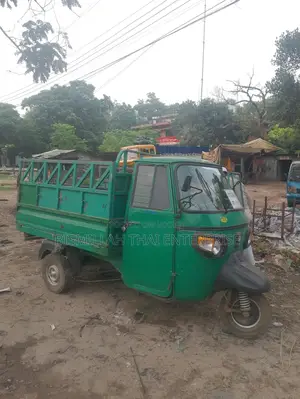Piaggio Apé Xtra LDX 230cc CNG থ্রি-হুইলার ২০২৩ সবুজ