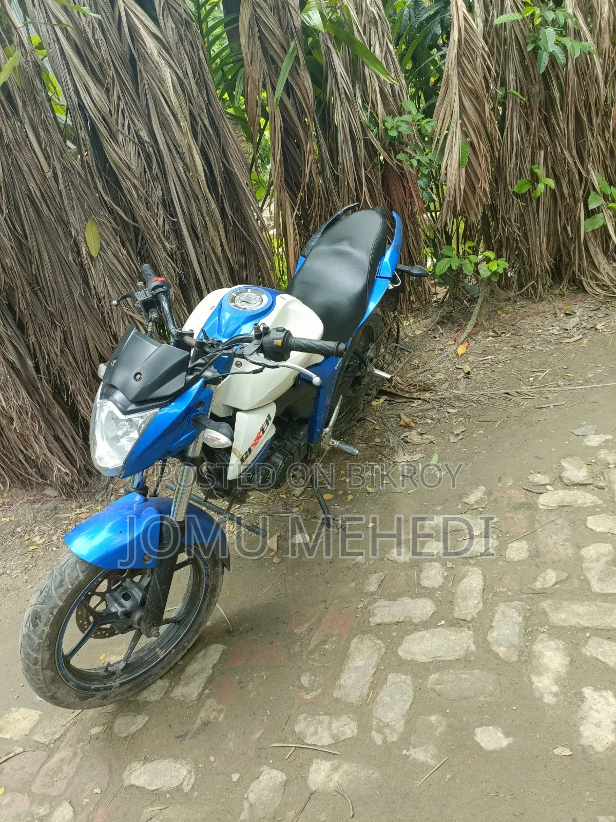 সুজুকি জিক্সার মনোটোন ২০১৯ নীল