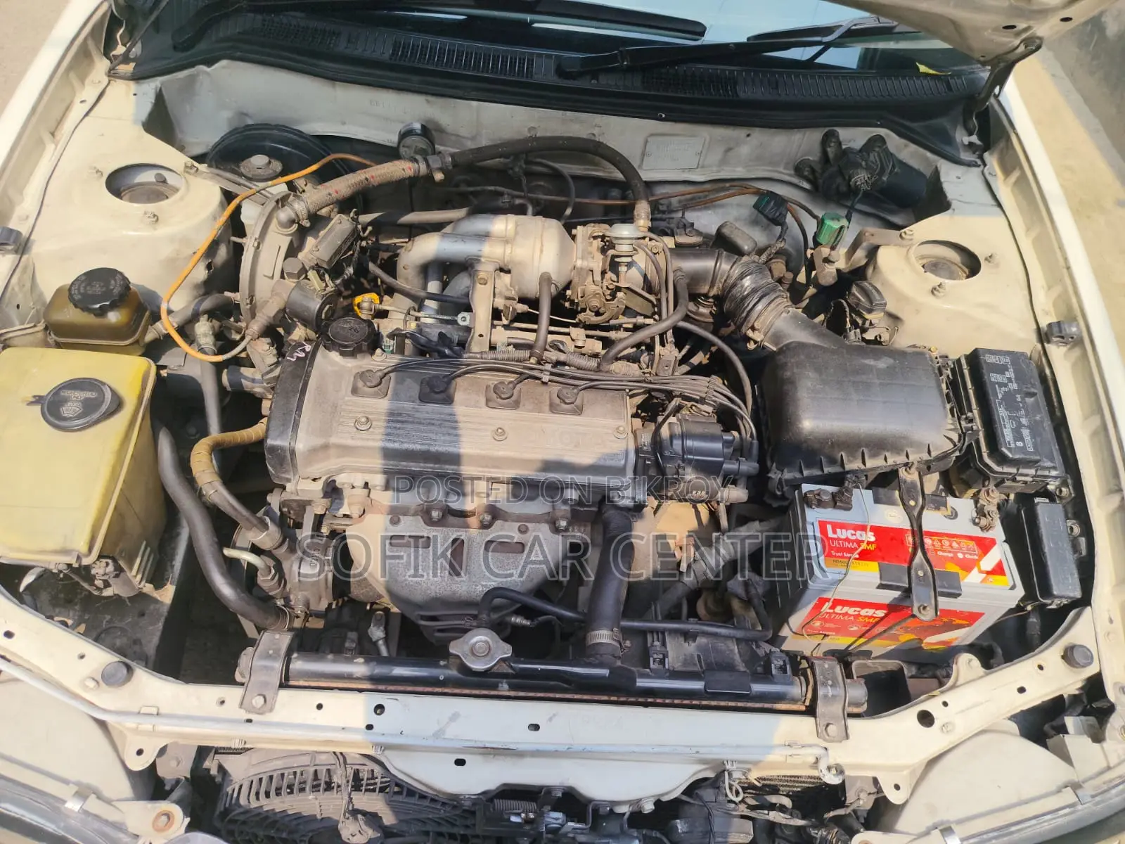 Toyota Corolla 1997 White