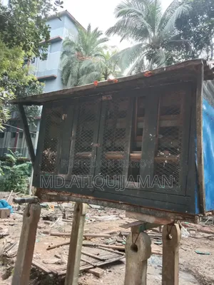 ৪৪ রুম কবুতরের খোপ