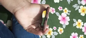 Realme 10 Pro ১২৮ জিবি রেড