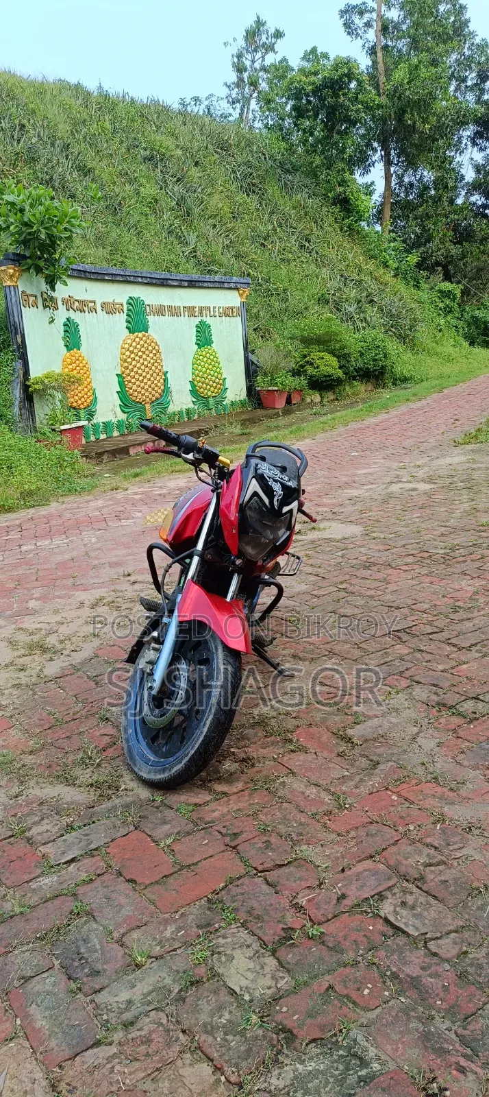 TVS 2017 Red