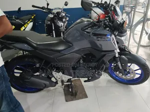 ইয়ামাহা এফজেড ২০২৫ গ্রে