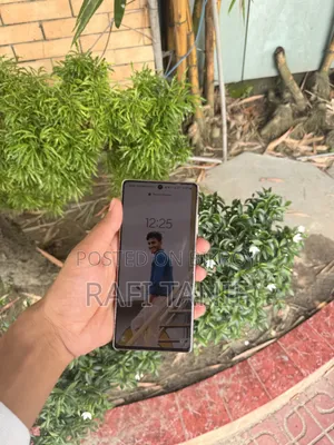 Samsung Galaxy Note 20 5G 256 GB Silver