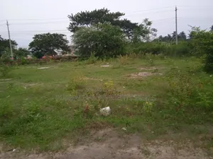 সুবর্ণ সুযোগ! পূর্বাচলে পাচ্ছেন ৫ কাঠার প্লট অবিশ্বাস্য মূল্যে
