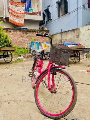 Ladies Bicycle