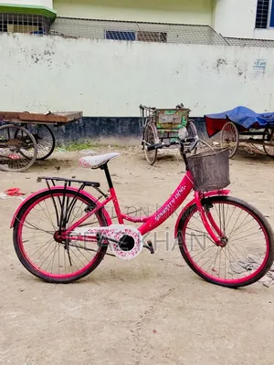 Ladies Bicycle