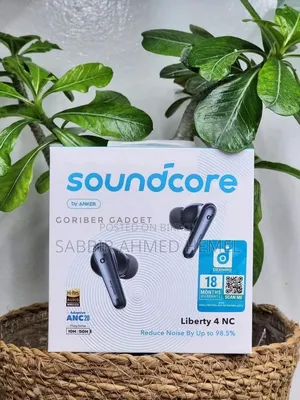 Earbuds TWS
