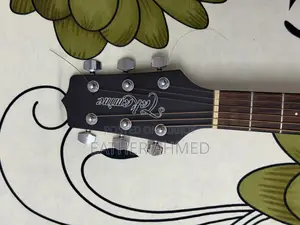 Takamine Acoustic Guitar(Gd11m)